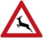 Wildwechsel